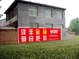 文山如何让墙体广告展现最大化效果