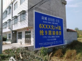 文山墙体广告质量分析