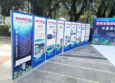 文山KT板的种类和知识。